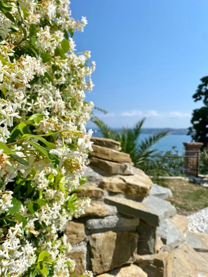 Sunvilla Κόπερ Εξωτερικό φωτογραφία